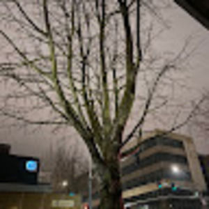 Meet your Posher, Ian